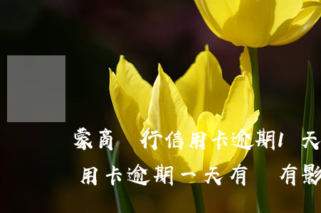 蒙商銀行信用卡逾期1天有影響嗎-銀行信用卡逾期一天有沒有影響?