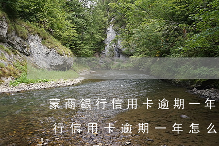 蒙商銀行信用卡逾期一年怎么減免-蒙商銀行信用卡逾期一年怎么減免違約金