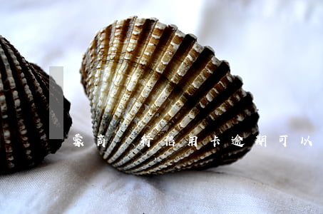蒙商銀行信用卡逾期可以減免嗎