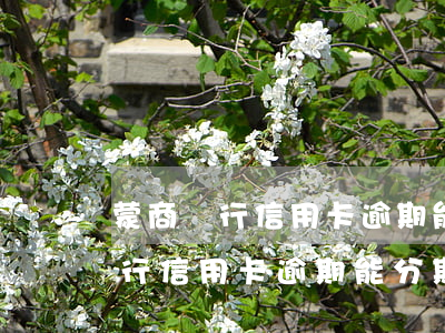 蒙商銀行信用卡逾期能分期還款嗎-蒙商銀行信用卡逾期能分期還款嗎