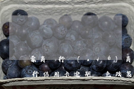 蒙商銀行協(xié)商還款方案-蒙商銀行信用卡逾期減免政策