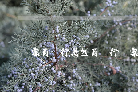 蒙商銀行是包商銀行嗎(蒙商銀行是包商銀行嗎?)