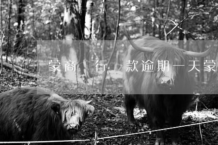 蒙商銀行貸款逾期一天（蒙商貸逾期一天怎么辦）