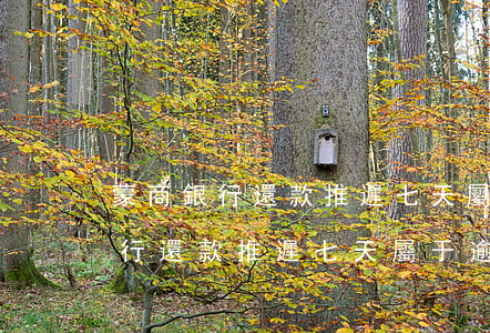 蒙商銀行還款推遲七天屬于逾期嗎-蒙商銀行還款推遲七天屬于逾期嗎怎么辦