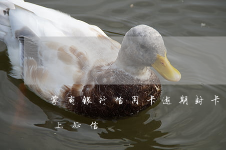 蒙商银行信用卡逾期封卡 蒙商银行逾期多久上征信