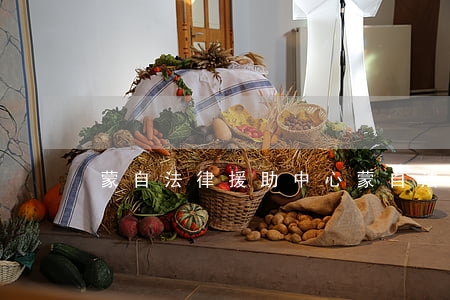 蒙自法律援助中心(蒙自法律援助中心地址)