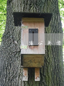 蒲公英借款逾期(蒲公英借貸有解決的嗎)