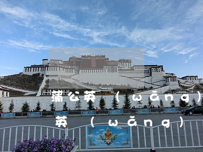 蒲公英網(wǎng)貸不還的后果0(蒲公英網(wǎng)貸不還的后果0)