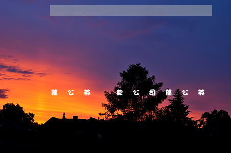 蒲公英貸款公司（蒲公英貸款只還本金）