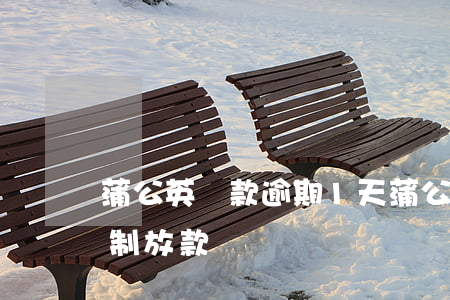 蒲公英貸款逾期1天(蒲公英貸款還款后又強制放款)
