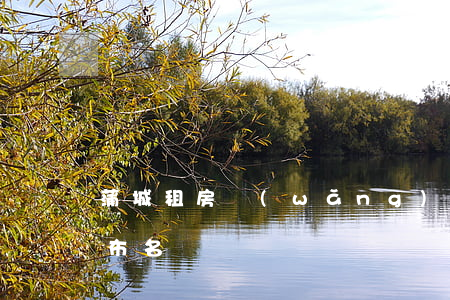 蒲城租房網(wǎng)(蒲城公租房最新公布名單)