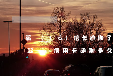 蒲發(fā)信卡逾期了銀行會(huì)起訴嗎(“信用卡逾期多久會(huì)被起訴”)