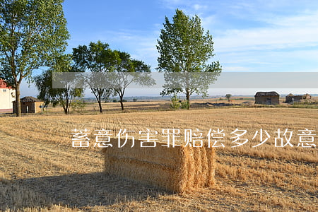 蓄意伤害罪赔偿多少(故意伤害罪赔偿问题)