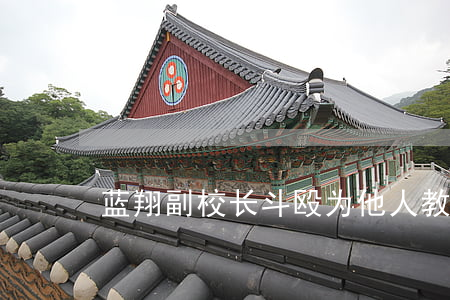 蓝翔副校长斗殴为他人教唆,教唆犯如何定罪