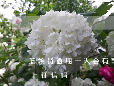 蓝领贷逾期一天会有事吗(蓝领贷逾期两年多上征信吗)