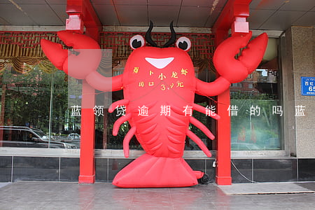 蓝领贷逾期有能借的吗(蓝领贷又开始催收了)