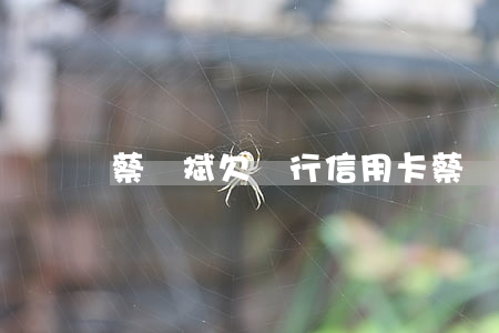 蔡華斌欠銀行信用卡(蔡華斌欠銀行信用卡)