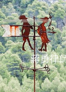 蔣勇律師是哪里人(蔣勇律師年齡)