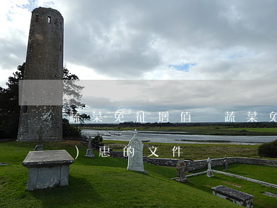 蔬菜免征增值稅(蔬菜免征增值稅優(yōu)惠的文件)