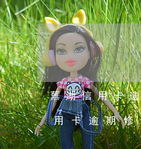 蕪湖信用卡逾期修復(fù)哪家好(蕪湖信用卡逾期修復(fù)哪家好)