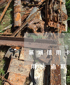 蕪湖信用卡逾期停息分期申請條件-蕪湖信用卡逾期停息分期申請條件是什么