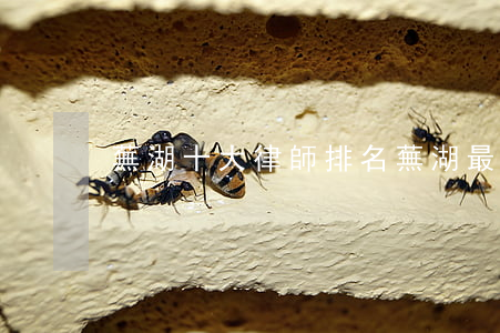 蕪湖十大律師排名(蕪湖最好的刑事案件律師)