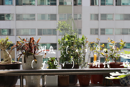 蕪湖危險(xiǎn)駕駛罪律師怎么收費(fèi)(蕪湖代駕收費(fèi)標(biāo)準(zhǔn))