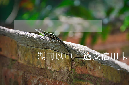 蕪湖可以申請透支信用卡嗎