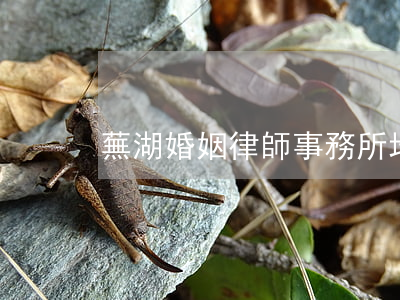 蕪湖婚姻律師事務所地址