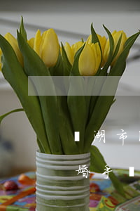 蕪湖市民政局可以辦理離婚嗎(蕪湖市辦理離婚手續(xù)的地址)