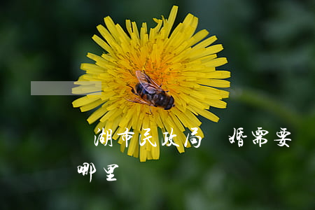 蕪湖市民政局離婚需要預約嗎(蕪湖市離婚在哪里辦)