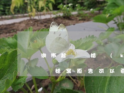 蕪湖市起訴離婚開(kāi)庭律師怎么選擇(離婚案原告可以委托律師出庭嗎)