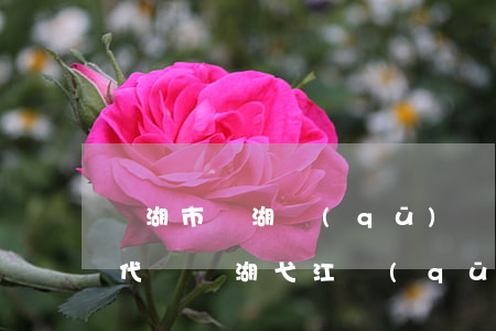 蕪湖市鏡湖區(qū)屬律師事務(wù)代碼(蕪湖弋江區(qū)律師事務(wù)所有哪些)
