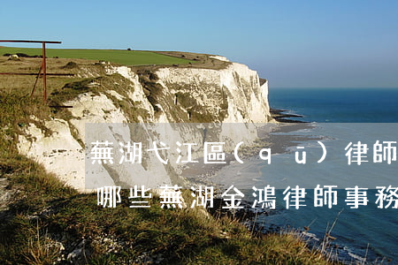 蕪湖弋江區(qū)律師事務(wù)所有哪些(蕪湖金鴻律師事務(wù)所)