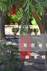 蕪湖春藍律師事務所怎么樣(蕪湖縣青弋江律師事務所)