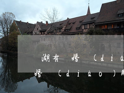 蕪湖有離婚調(diào)解師嗎(蕪湖有離婚調(diào)解師嗎)