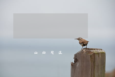 蕭山公司注冊