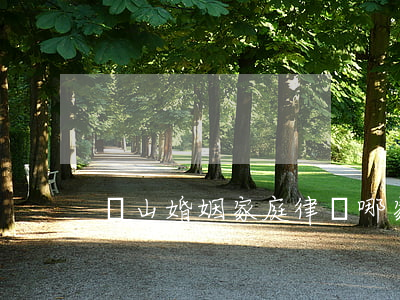 蕭山婚姻家庭律師哪家好