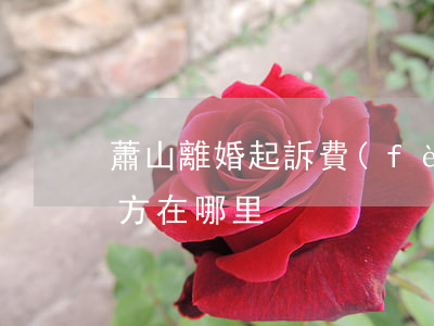 蕭山離婚起訴費(fèi)用(蕭山離婚的地方在哪里)