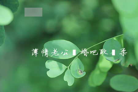 薄情老公 離婚吧耿靜柔