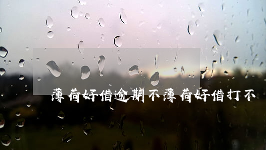 薄荷好借逾期不(薄荷好借打不開(kāi))