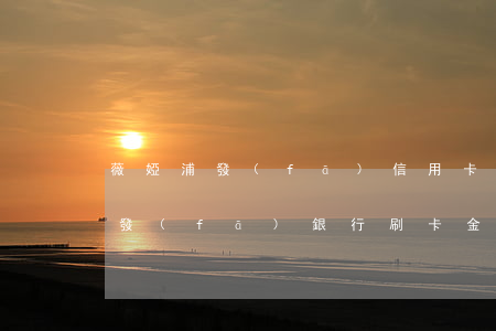 薇婭浦發(fā)信用卡是透支卡嘛(薇婭浦發(fā)銀行刷卡金)