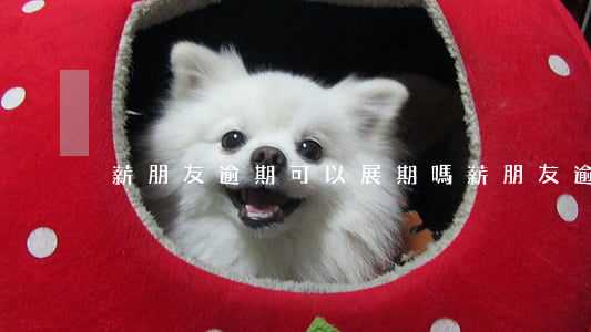 薪朋友逾期可以展期嗎(薪朋友逾期幾天)