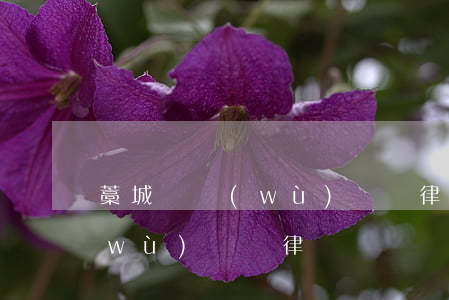 藁城債務(wù)糾紛律師顧問(藁城債務(wù)糾紛律師顧問)