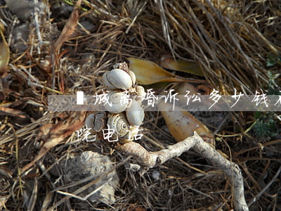 藁城离婚诉讼多少钱(石家庄市藁城区人民法院电话)