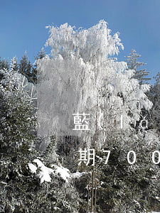 藍(lán)海銀行信用卡逾期了(信用卡逾期700多天)