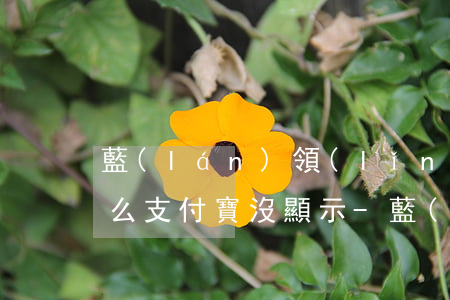 藍(lán)領(lǐng)貸未還款為什么支付寶沒顯示-藍(lán)領(lǐng)貸未還款為什么支付寶沒顯示還款
