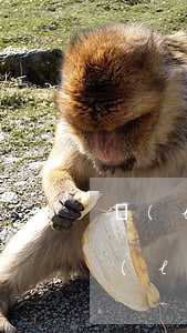 藍(lán)領(lǐng)貸欠了3年(藍(lán)領(lǐng)貸欠了五年了)