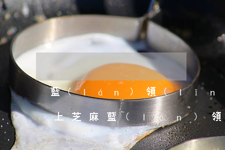 藍(lán)領(lǐng)貸逾期_多久上芝麻(藍(lán)領(lǐng)貸合法嗎)