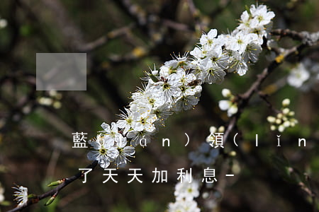 藍(lán)領(lǐng)貸逾期一個月了天天加利息-